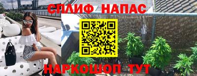 индика Кунгур