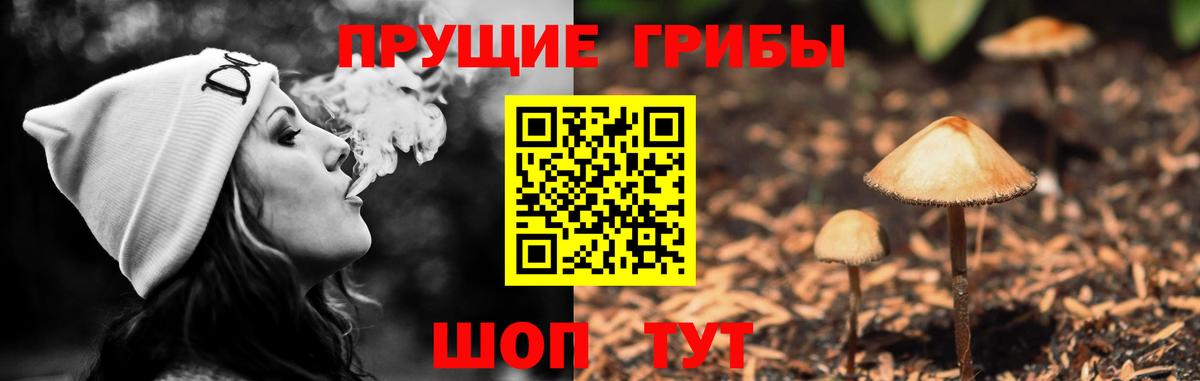 Галлюциногенные грибы Magic Shrooms Камышин